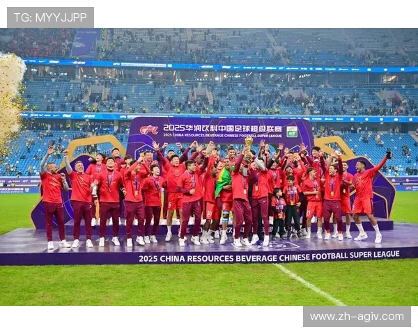 风雨十二载坚守南京足球文化在中超赛场绽放新生