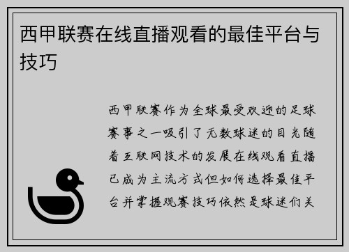 西甲联赛在线直播观看的最佳平台与技巧