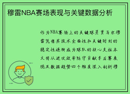 穆雷NBA赛场表现与关键数据分析